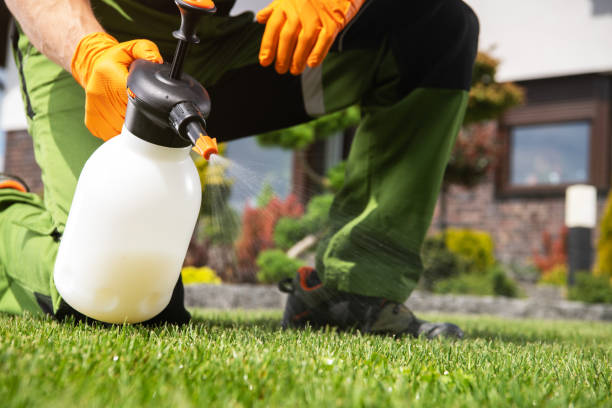 Best Residential Pest Control  in Bainbridge Island, WA