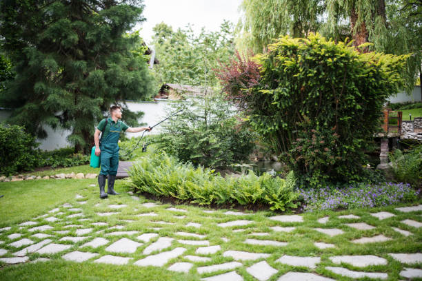 Best Emergency Pest Control  in Bainbridge Island, WA