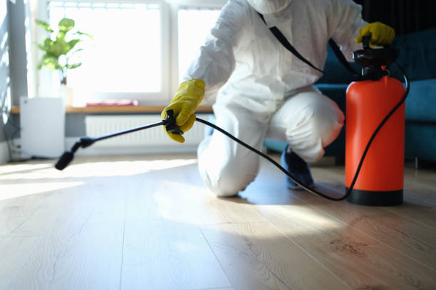 Best Local Pest Control Services  in Bainbridge Island, WA