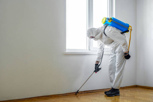 Pest Control for Restaurants in Bainbridge Island, WA