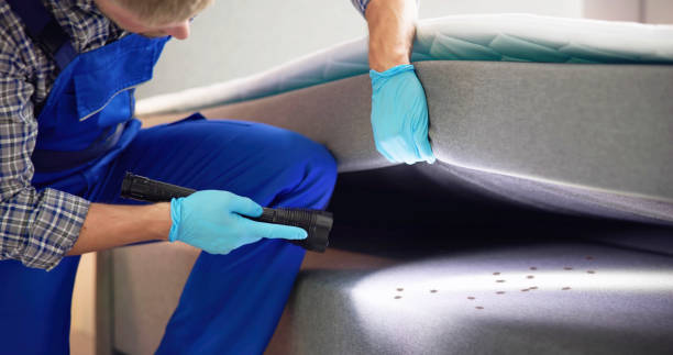Best Best Pest Control Companies  in Bainbridge Island, WA