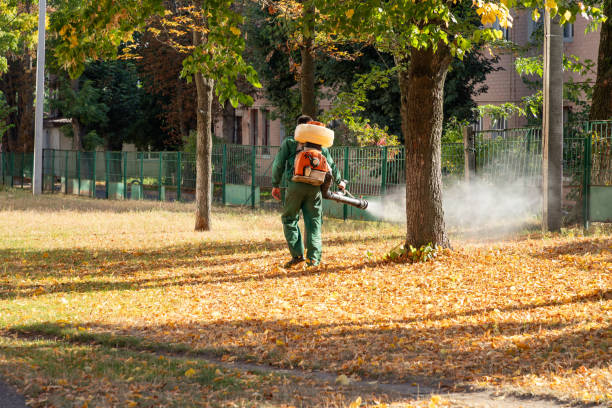 Best Mosquito Control Services  in Bainbridge Island, WA