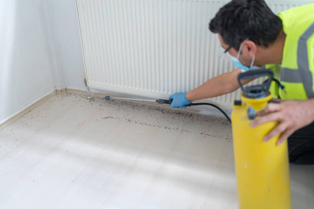 Best Ant Control Services  in Bainbridge Island, WA